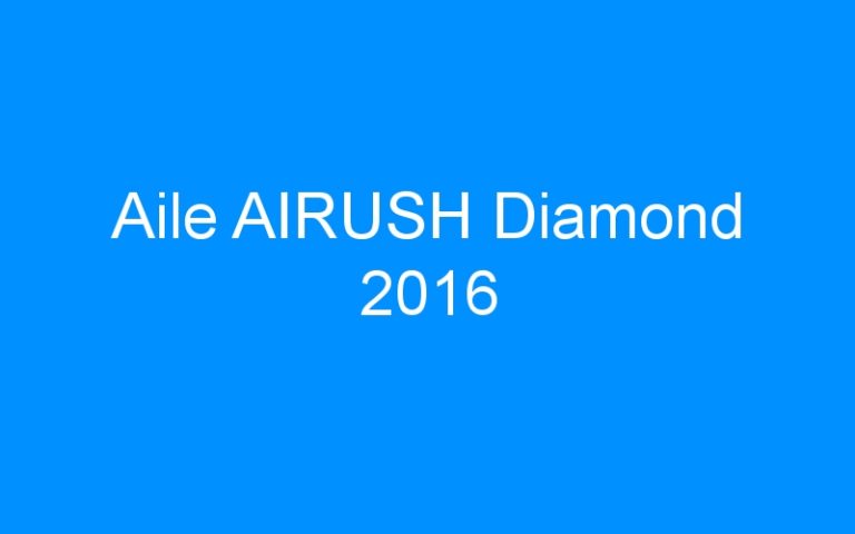 Lire la suite à propos de l’article Aile AIRUSH Diamond 2016