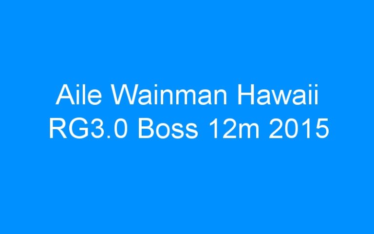 Lire la suite à propos de l’article Aile Wainman Hawaii RG3.0 Boss 12m 2015