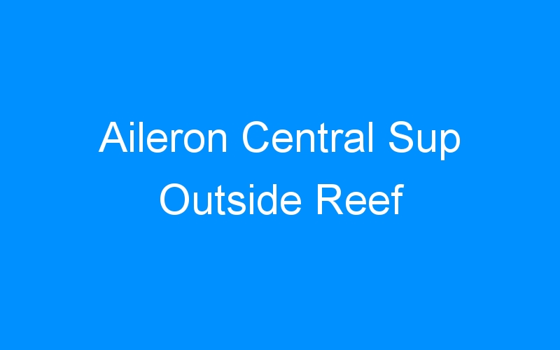 Aileron Central Sup Outside Reef