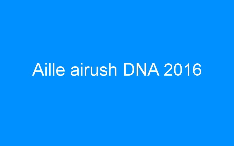You are currently viewing Aille airush DNA 2016