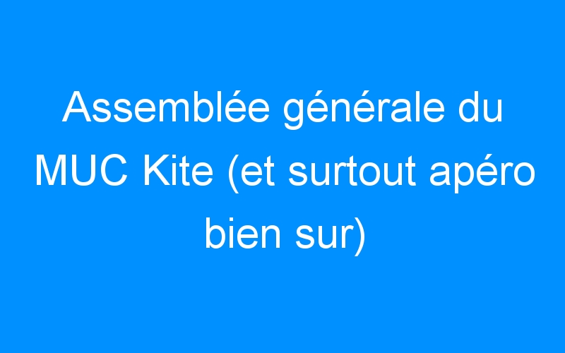 You are currently viewing Assemblée générale du MUC Kite (et surtout apéro bien sur)