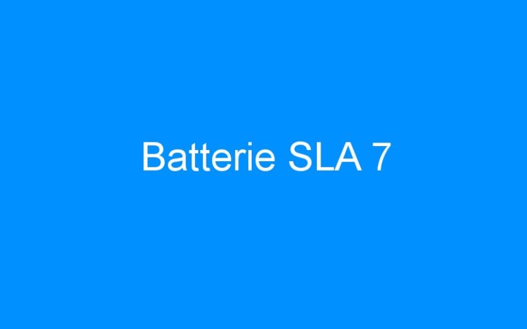 Lire la suite à propos de l’article Batterie SLA 7