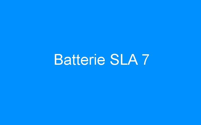 You are currently viewing Batterie SLA 7