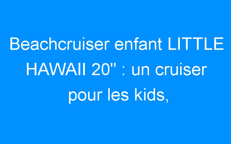 You are currently viewing Beachcruiser enfant LITTLE HAWAII 20″ : un cruiser pour les kids, « hawaiien style »!!!