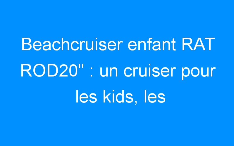 You are currently viewing Beachcruiser enfant RAT ROD20″ : un cruiser pour les kids, les tatoués!!!