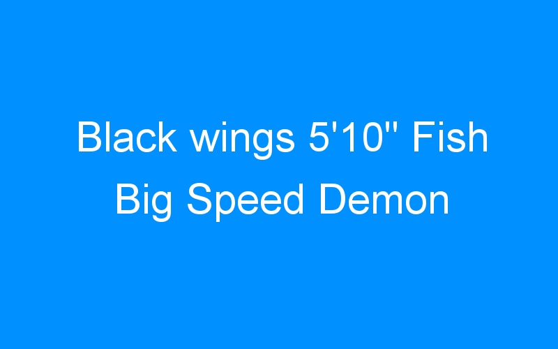 You are currently viewing Black wings 5’10 » Fish Big Speed Demon