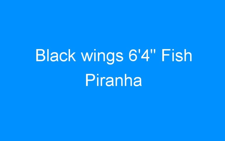 Lire la suite à propos de l’article Black wings 6’4″ Fish Piranha