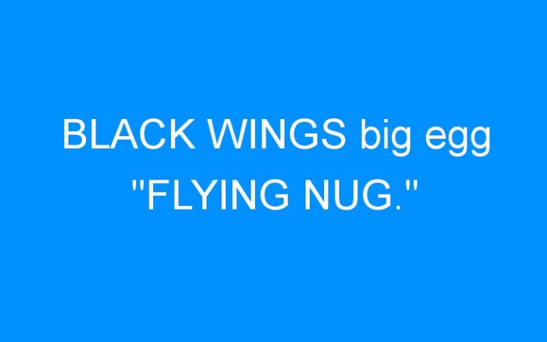 Lire la suite à propos de l’article BLACK WINGS big egg « FLYING NUG. »