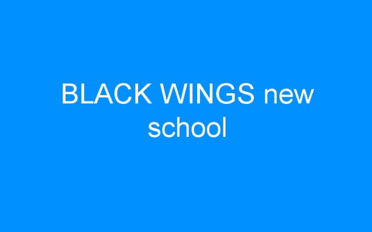 Lire la suite à propos de l’article BLACK WINGS new school