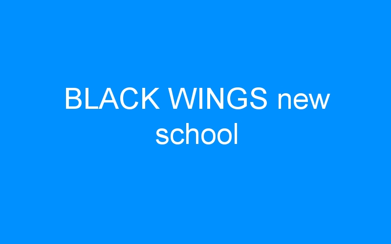 You are currently viewing BLACK WINGS new school