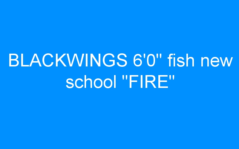 BLACKWINGS 6’0″ fish new school « FIRE »