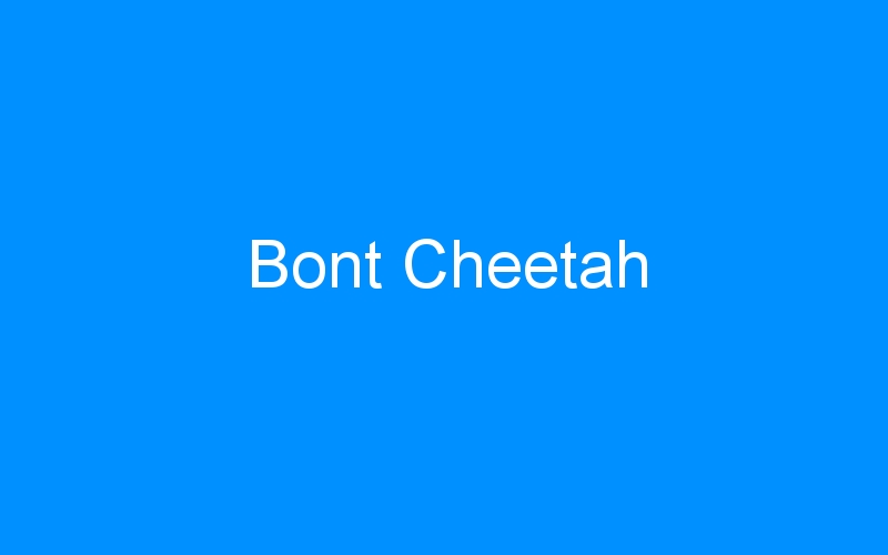 You are currently viewing Bont Cheetah