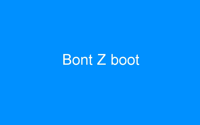 You are currently viewing Bont Z boot