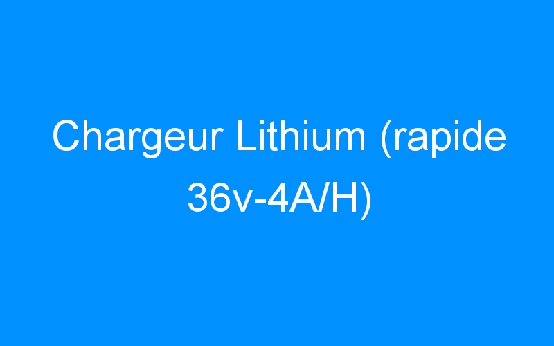 You are currently viewing Chargeur Lithium (rapide 36v-4A/H)