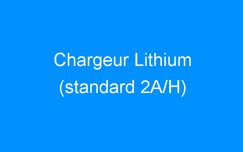 You are currently viewing Chargeur Lithium (standard 2A/H)