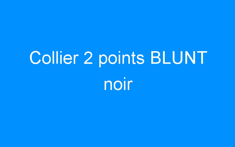 You are currently viewing Collier 2 points BLUNT noir