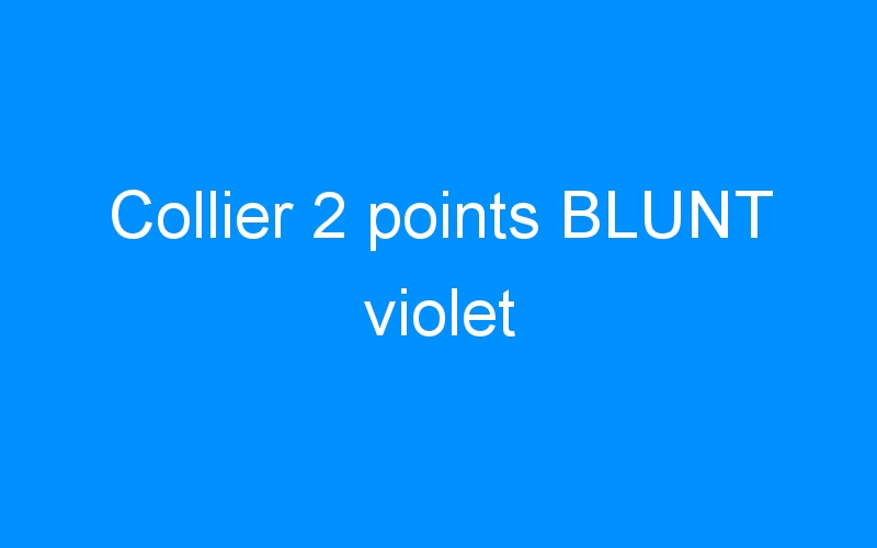 Collier 2 points BLUNT violet