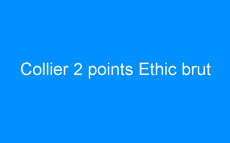 Collier 2 points Ethic brut