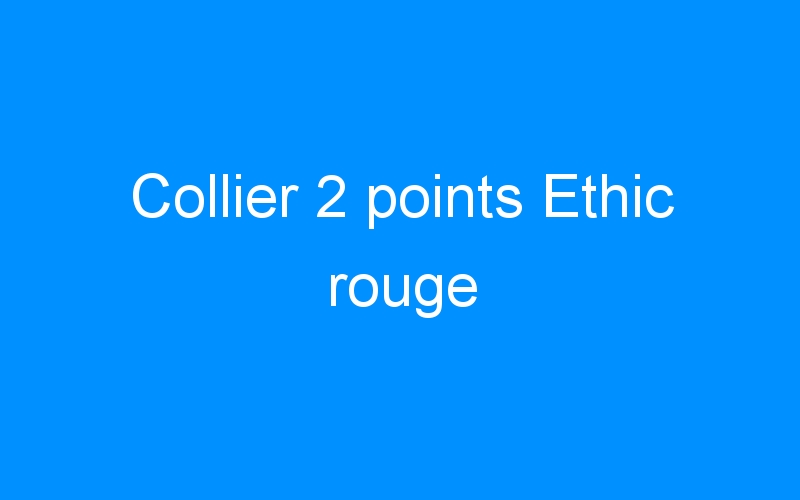 You are currently viewing Collier 2 points Ethic rouge