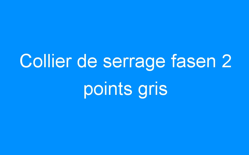 You are currently viewing Collier de serrage fasen 2 points gris