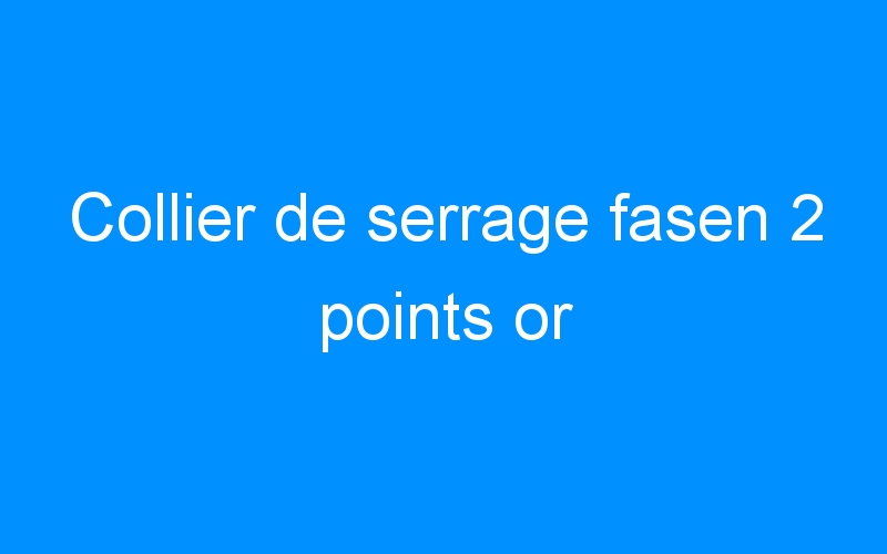 You are currently viewing Collier de serrage fasen 2 points or