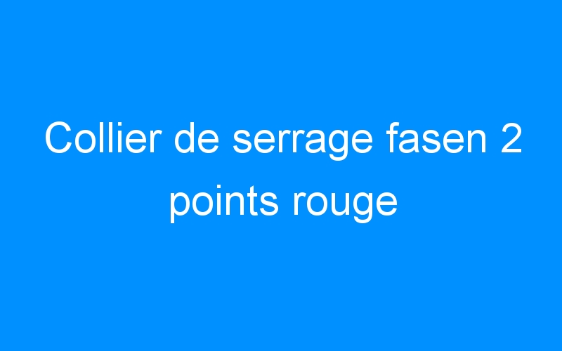 You are currently viewing Collier de serrage fasen 2 points rouge