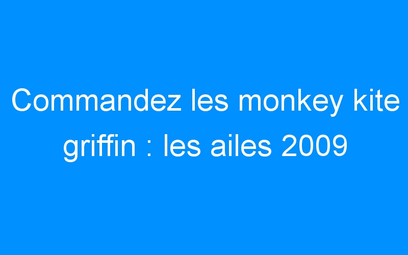 You are currently viewing Commandez les monkey kite griffin : les ailes 2009