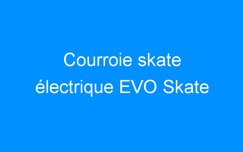 You are currently viewing Courroie skate électrique EVO Skate