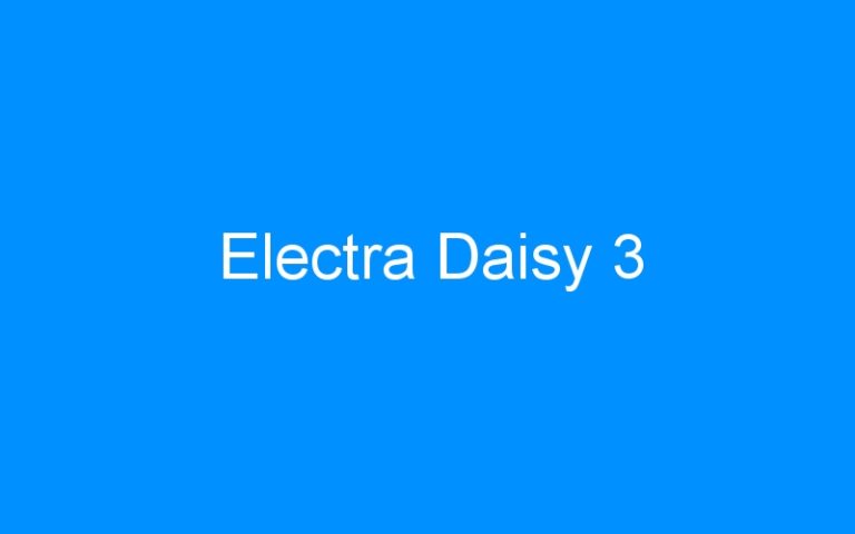 Lire la suite à propos de l’article Electra Daisy 3