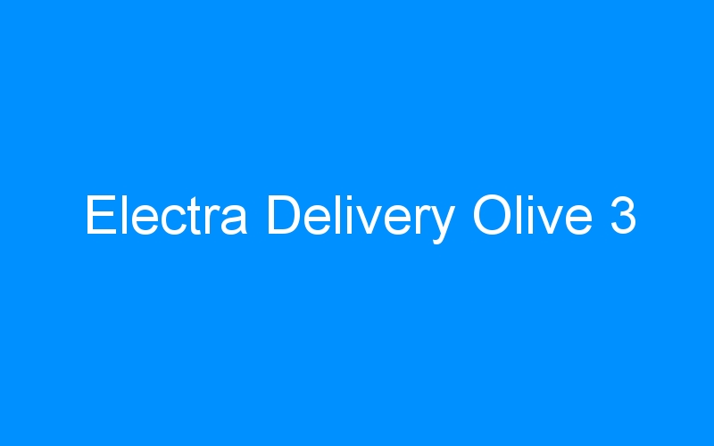 You are currently viewing Electra Delivery Olive 3