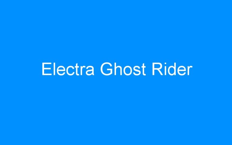 Lire la suite à propos de l’article Electra Ghost Rider