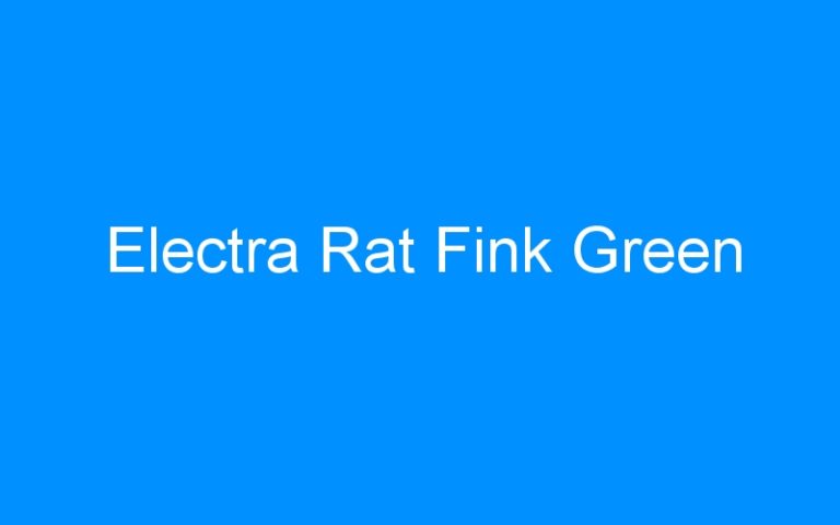 Lire la suite à propos de l’article Electra Rat Fink Green