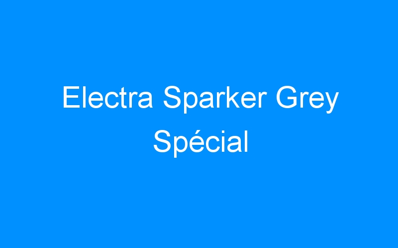 You are currently viewing Electra Sparker Grey Spécial