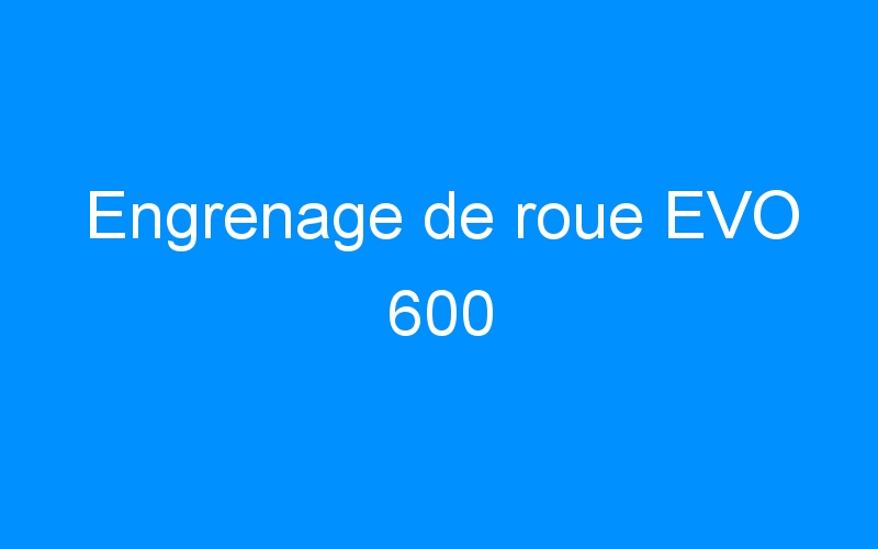 You are currently viewing Engrenage de roue EVO 600