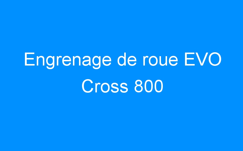 You are currently viewing Engrenage de roue EVO Cross 800