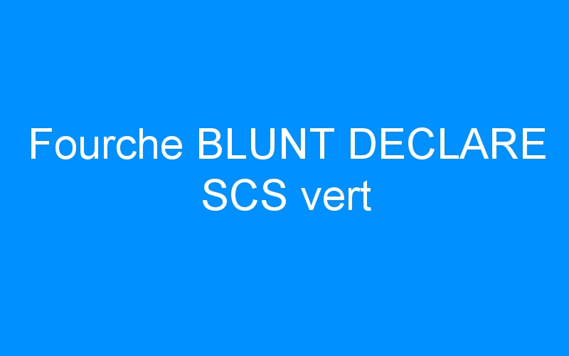 You are currently viewing Fourche BLUNT DECLARE SCS vert