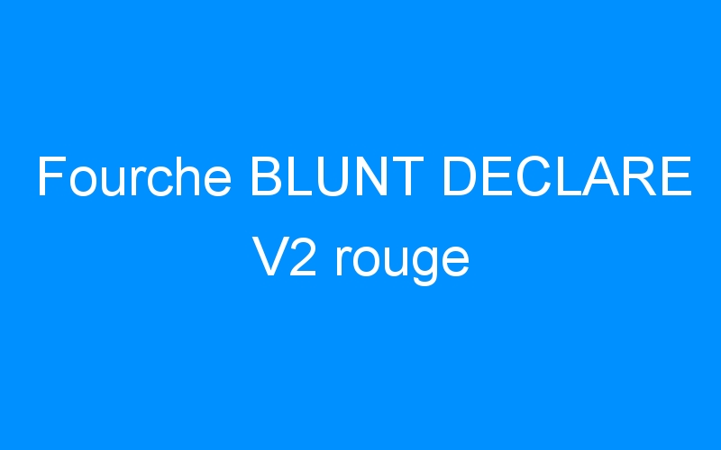 You are currently viewing Fourche BLUNT DECLARE V2 rouge