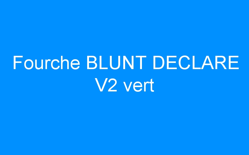 You are currently viewing Fourche BLUNT DECLARE V2 vert