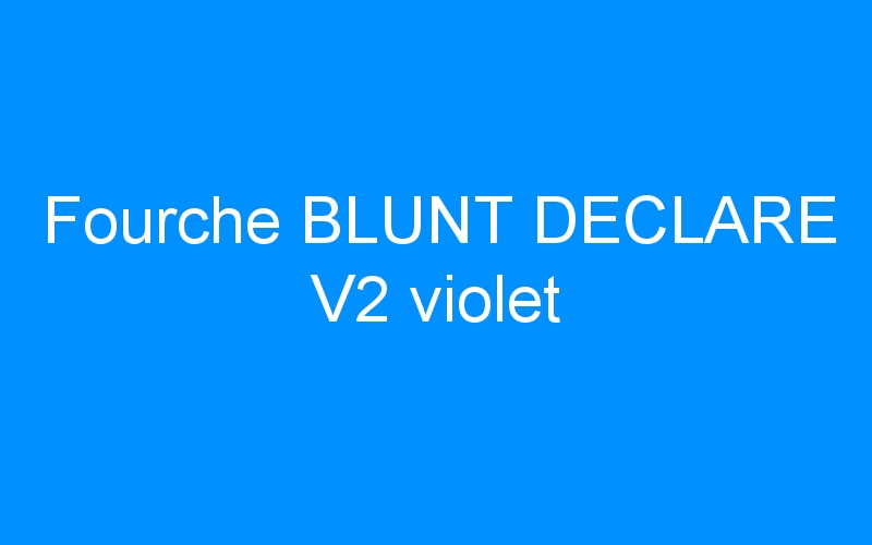 You are currently viewing Fourche BLUNT DECLARE V2 violet