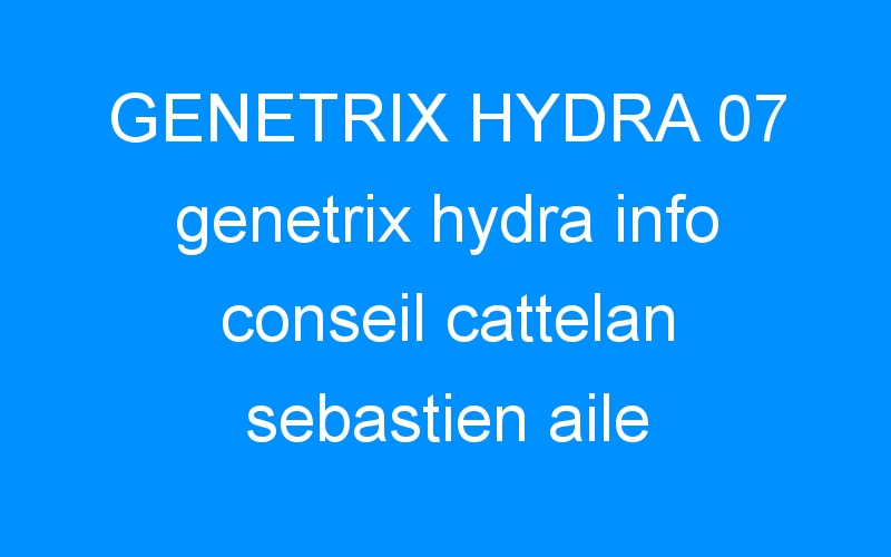 GENETRIX HYDRA 07 genetrix hydra info conseil cattelan sebastien aile plate redécollage redécollabilité sustente Destock-Cycle.fr kitesurf roller palavas magasin de sport