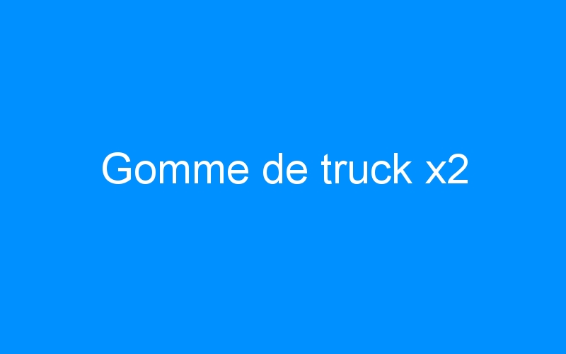 You are currently viewing Gomme de truck x2
