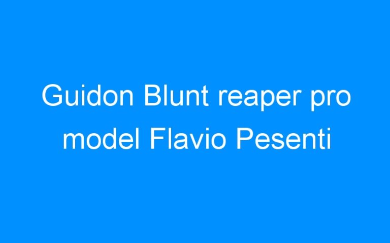 Lire la suite à propos de l’article Guidon Blunt reaper pro model Flavio Pesenti