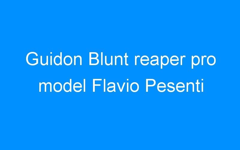 You are currently viewing Guidon Blunt reaper pro model Flavio Pesenti