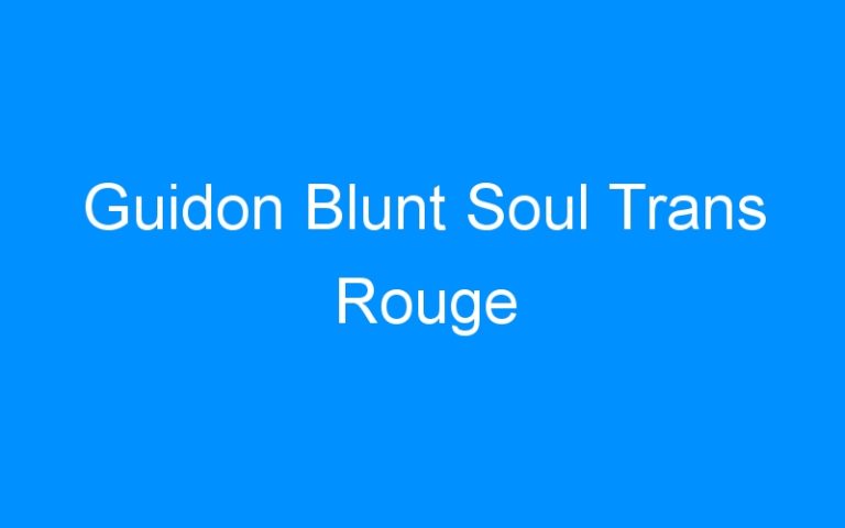 Lire la suite à propos de l’article Guidon Blunt Soul Trans Rouge