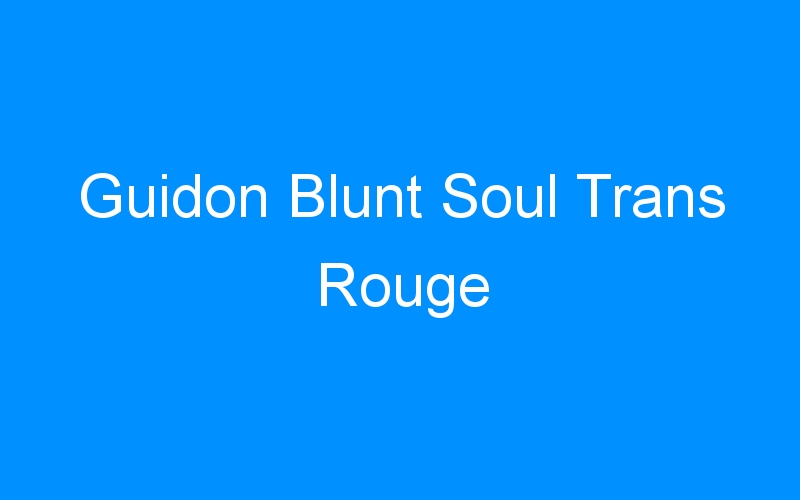 You are currently viewing Guidon Blunt Soul Trans Rouge