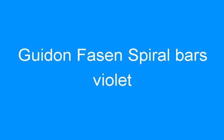 Lire la suite à propos de l’article Guidon Fasen Spiral bars violet