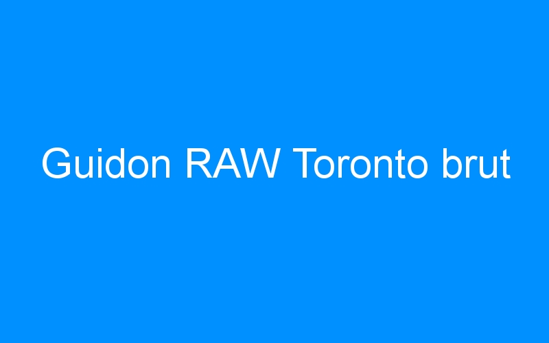 You are currently viewing Guidon RAW Toronto brut