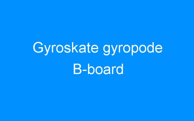 Lire la suite à propos de l’article Gyroskate gyropode B-board