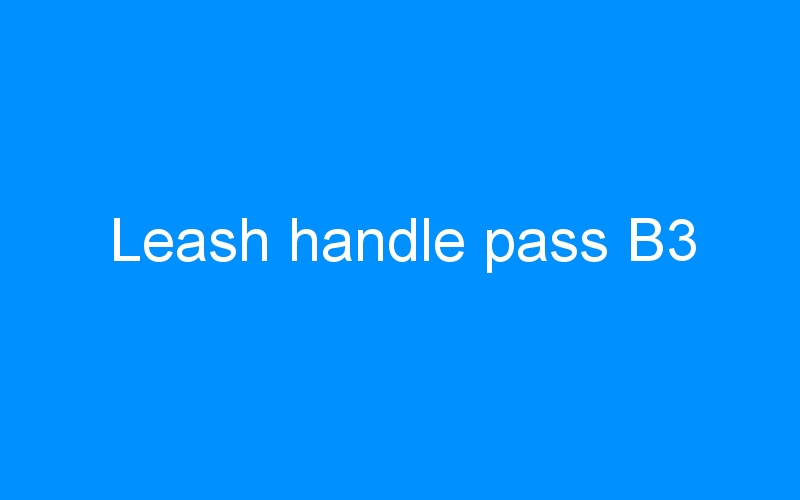 You are currently viewing Leash handle pass B3