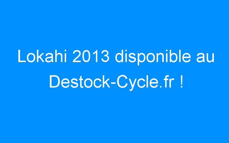 Lokahi 2013 disponible au Destock-Cycle.fr !